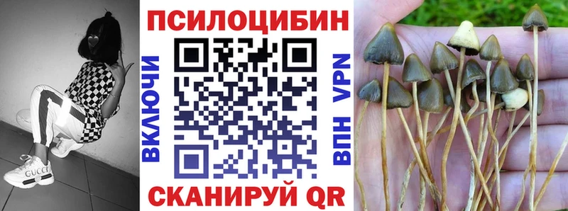 Псилоцибиновые грибы ЛСД  купить наркоту  Учалы 